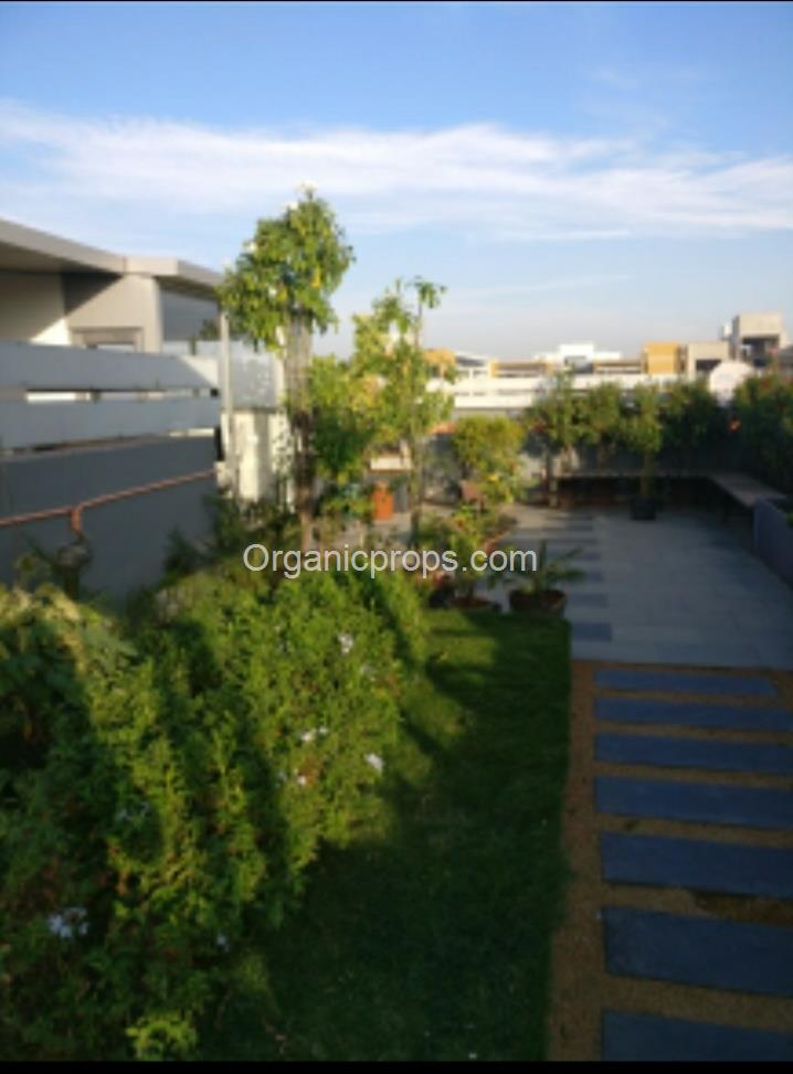 WhatsApp Image 2022-12-22 at 120221222130729224.jpeg